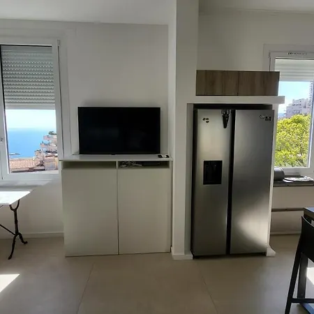 Flat In Villa, Pool & Fitness, Monaco, Bnbrickeys Apartment Monte Carlo